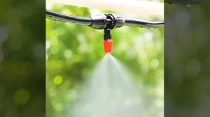 Система орошения "Водяной туман"