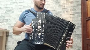 ГАРМОНЬ ЛЮБИТЕЛЬСКАЯ ЦЕЛЬНОПЛАНОЧНАЯ ДО МАЖОР. Ремонт