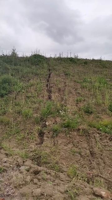 КП Побережье - Масс Аркадий Семенович. часть 6. поселок смотреть онлайн