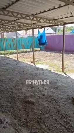 А где Саня??😂