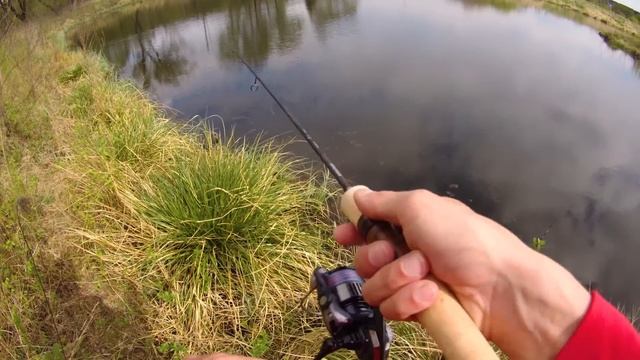 НОВИНКА! Спиннинг для голавля. Nautilus IZI.