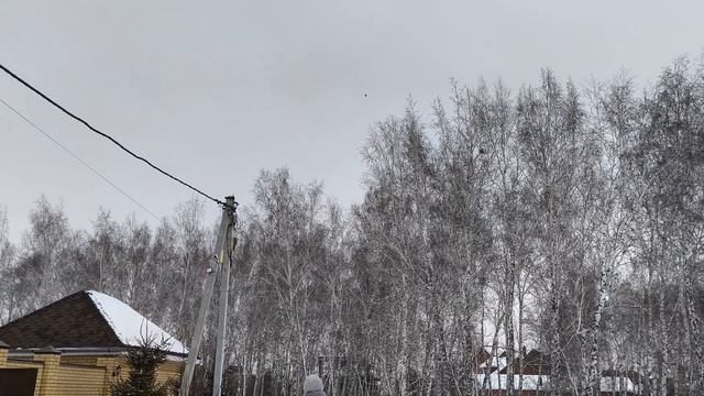 Милана с ведром на голове. Запускаем китайские фонари?