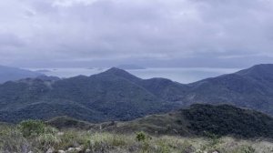 Совместимость женщина-Стрелец и мужчина-Водолей