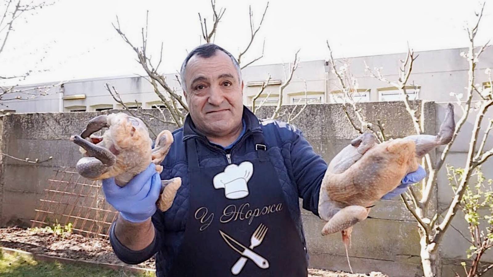 Шашлык из домашних цесарок на мангале