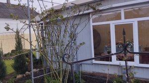 Опора для розы Скарлетт Мейяндекор.