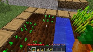 24 ЧАСА ВЫЖИВАЮ В ДЕРЕВНЕ КОМПОТА