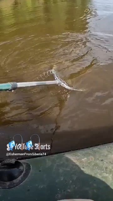 🔺️🎣ПОД ЛОДОЧКОЙ🎣🔺️топыкатегорий#fishing#природа#рыбалка#ловля#щука#рыбалкасибирь#ловлящуки#