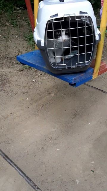 крылатые качели смотреть онлайн