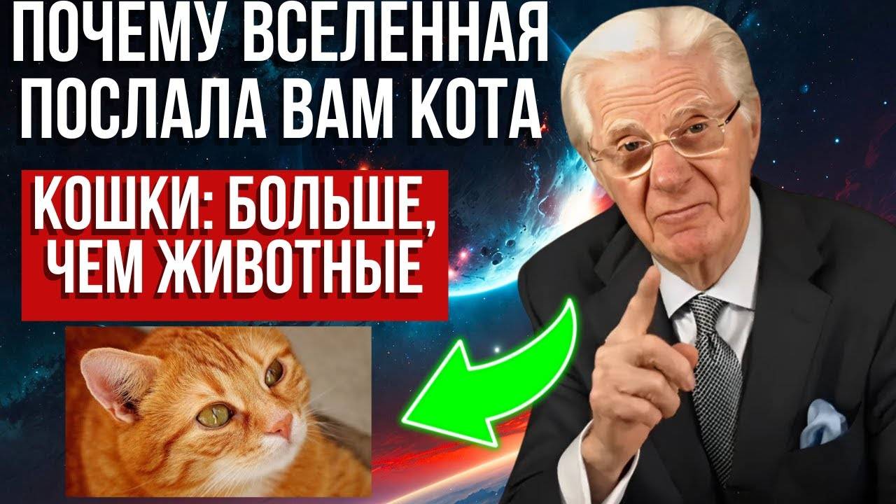 😺КОШКИ – НЕ ПРОСТО ЖИВОТНЫЕ РАСКРОЙТЕ СЕКРЕТ ИХ ПРИСУТСТВИЯ - ЗАКОН ПРИТЯЖЕНИЯ