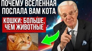 😺КОШКИ – НЕ ПРОСТО ЖИВОТНЫЕ РАСКРОЙТЕ СЕКРЕТ ИХ ПРИСУТСТВИЯ - ЗАКОН ПРИТЯЖЕНИЯ