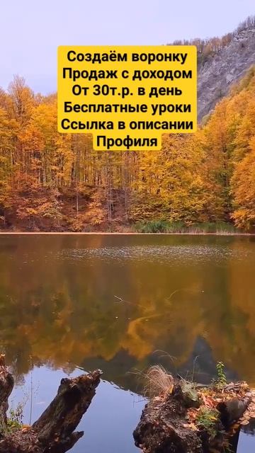 Озеро в осенних красках #природа #вода #берёзы #доход # смотреть онлайн