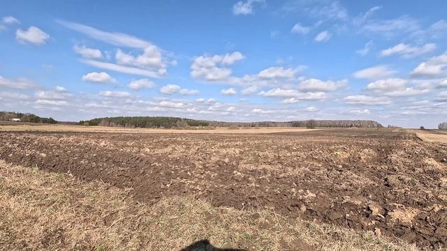 Коп 2025 года! Как я нашел свою первую серебряную чешуйк? смотреть онлайн