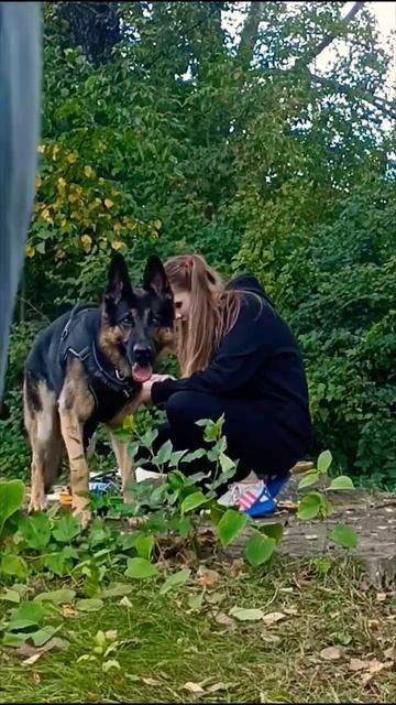 Хотел у девушки украсть телефон, но верный пёс Бэстер ? смотреть онлайн