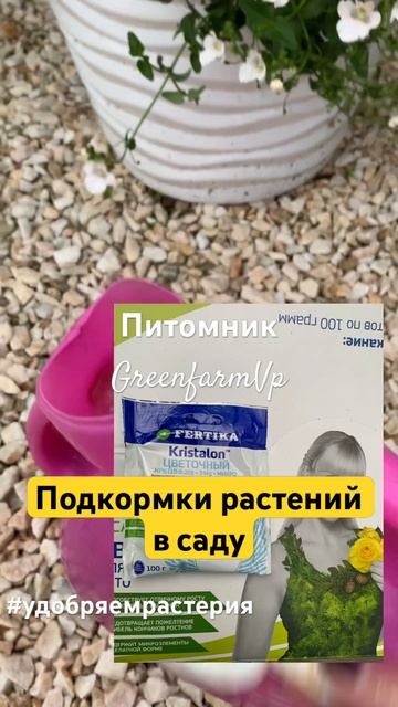 Удобряем летники #вегетативныерастения #дача #сад #чер смотреть онлайн