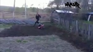 Приколы на мотоблоках