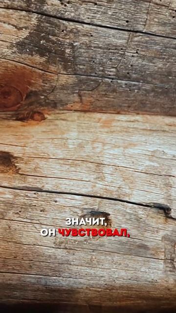 🕊️ Следы ПТИЦ и НАСЕКОМЫХ на БРЕВНЕ — это БРАК? #artkelo смотреть онлайн