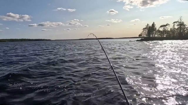 УДАЧНАЯ РЫБАЛКА.ПЕРВЫЙ ОПЫТ ХОЛОДНОГО КОПЧЕНИЯ смотреть онлайн