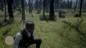 Red Dead Redemption 2_мастер охотник 7lvl