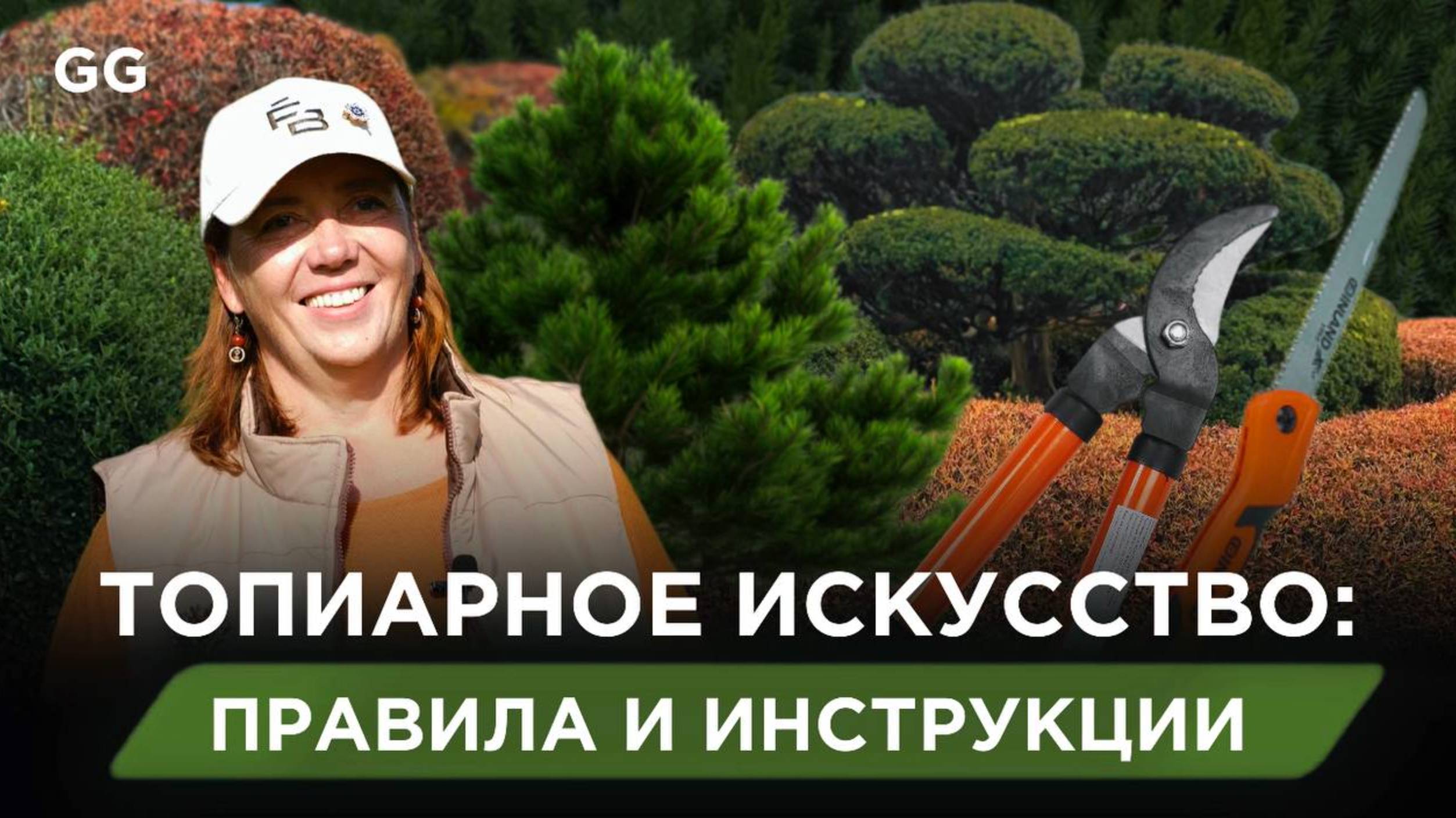 Топиарное искусство: секреты профессиональной обрезки хвойных и лиственных