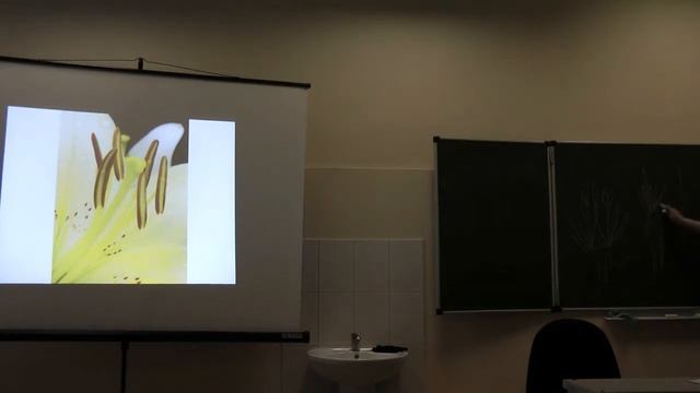 Морфология растений. Часть 1. Платонова А. Г. 03.11.2014 edit смотреть онлайн