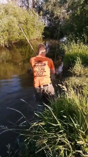 Судак - это мама щуки маленькой🎣 На рыбалке с папой и ? смотреть онлайн