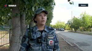 Анна и Терра. Собачья работа.