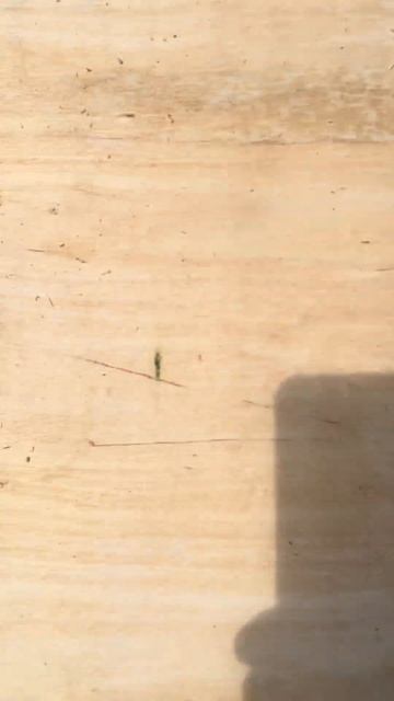 Тележка для лодочного мотора по быстрому. #рыбалка #ло? смотреть онлайн