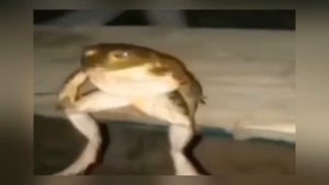 ЧЕЛОВЕК ПРЕВРАТИЛСЯ В МОНСТРА (обзор Godzilla Analog Horror)