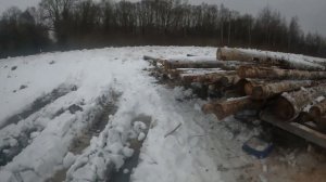 Как  лесовоз берёзы распилил на дрова и сколько времен