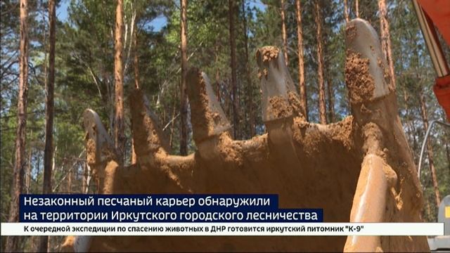 Песок раздора. Незаконный карьер обнаружили на территории Иркутского городского лесничества