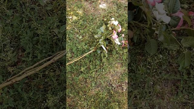 Упаковка к доставке часть 2