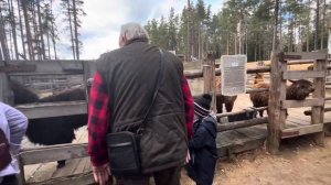 Зоопарк Лампушки рядом с Сосново Приозерского района,