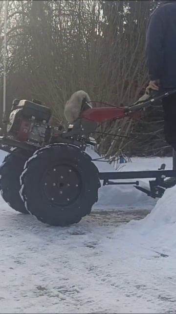 Мотоблок вейма 1100 с 6 диф смотреть онлайн