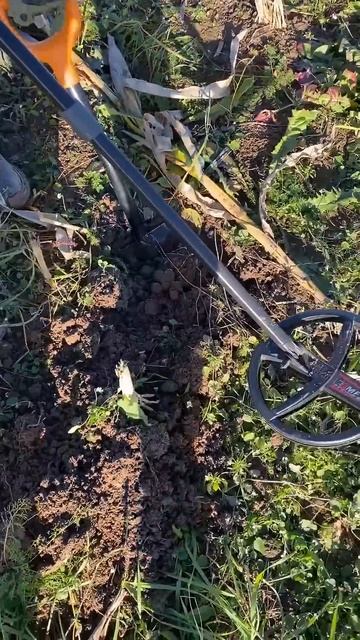 #металлоискатель #поискмонет #шурф #старина #кладоиск смотреть онлайн