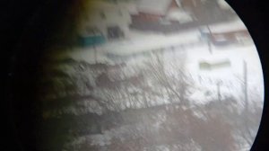 Vector Optics forester 8x32 обзор