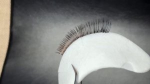 Цветное Наращивание Ресниц. Наращивание Омбре.