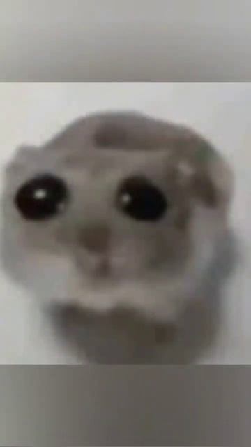 Пожалуйста, распили меня болгаркой! Ну распили... смотреть онлайн