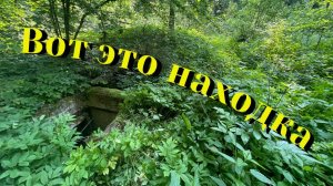Металлокоп. Находка в лесу. Что это?