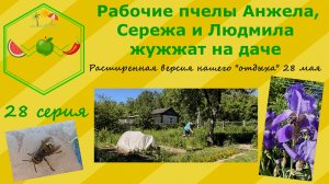 Рабочие пчелы Анжела, Сережа и Людмила жужжат на даче. Расширенная версия дачного "отдыха".28 серия