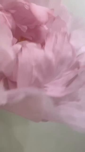 УЗНАЙТЕ СЕКРЕТЫ СОЗДАНИЯ САМЫХ ТРЕНДОВЫХ ЦВЕТОВ ИЗ ТКАНИ смотреть онлайн