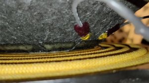 Eighteen Sound 18LW2600/8 подробный обзор динамика