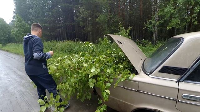 ЕДЕМ ЗА ВЕНИКАМИ ДЛЯ БАНИ. ПОКАТУШКИ НА МАШИНЕ. МАШИНА