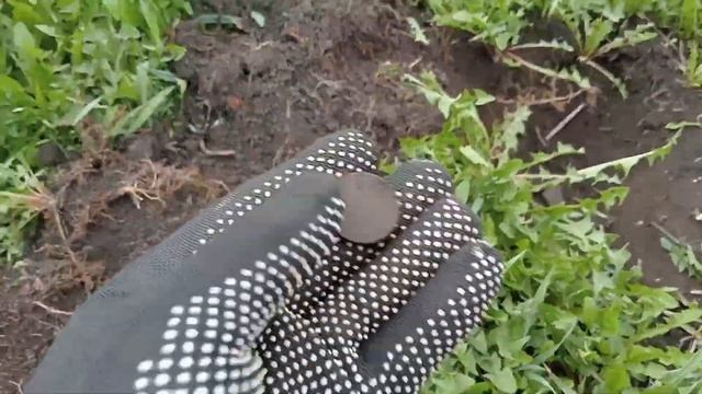 ЦЕРКОВЬ РЯДОМ - СЕРЕБРО ЕСТЬ !!! ОЧЕНЬ ИНТЕРЕСНЫЕ НАХОД? смотреть онлайн