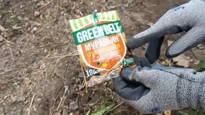 БОРЕМСЯ С МУРАШАМИ НА УЧАСТКЕ