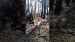 Мотоблок рысь 7л/с проходит испытания😁