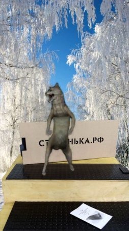 Удивительное зрелище: волк танцует на греющей резиновой дорожке в гололёд!