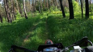 Лесные покатушки на Regul moto sport 003 pr300