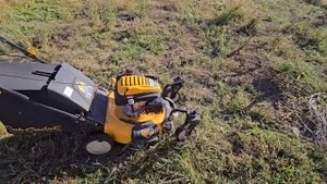 ВОЗЛЕ ДОМА РАБОТЫ ХОТЬ ОТБАВЛЯЙ!!! СЕЛЬЧАНКА В АМЕРИКЕ