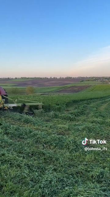 Косілка Роторна на Т-40 #2024 #2024shorts #т40 #т40ам #ротор смотреть онлайн