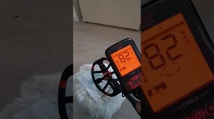 X-terra elite, гвоздь и монета